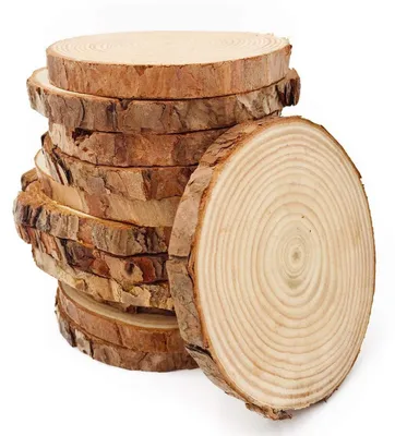 Immagine prodotto di Dischi di legno, 12 pezzi, diametro 9-10 cm, non forati, ideali per progetti fai-da-te, artigianato e decorazioni