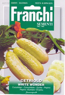 Produktbild von Samen - GURKE ´WHITE WONDER´