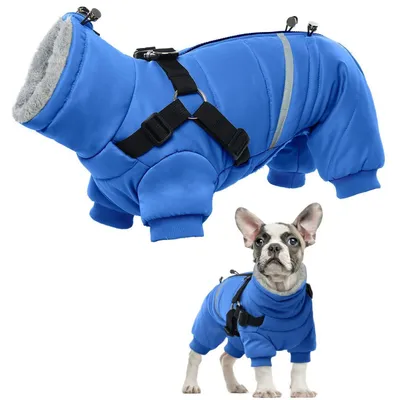 Image de Manteau imperméable et chaud pour chien, couleur bleue, taille M