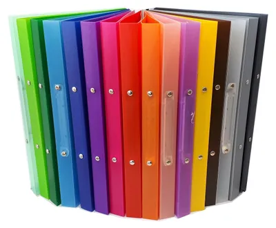 Produktbild von Brunnen 16 x Ringbuch Fact! A4 16mm 2 Ringe 1065516 farbig sortiert