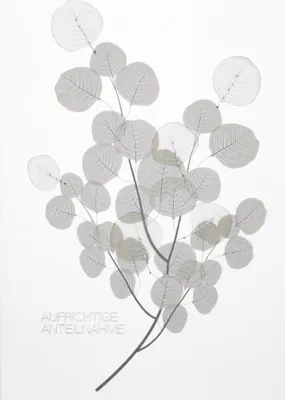 Produktbild von Beileidskarte "Aufrichtige Anteilnahme"