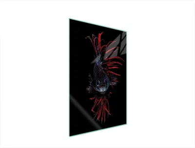 Produktbild von Herdabdeckplatte 35x52 Glaskeramikfeld Abdeckung Spritzschutz Glasplatte Deko Schneidebrett Fische Schwarz