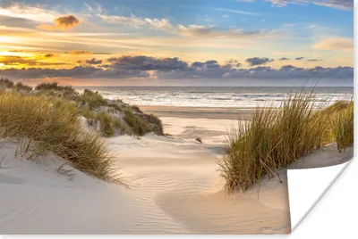 Produktbild von MuchoWow® Poster Strand - Düne - Gras - Sonnenuntergang - Meer 90x60 cm - Schlafzimmer