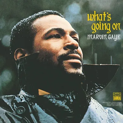 Immagine prodotto di Gaye,Marvin-What's Going On (Back To Black LP)