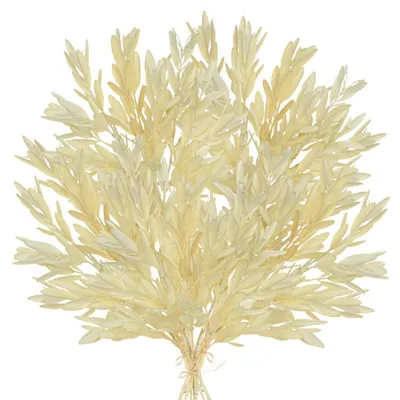 Immagine prodotto di Set di 5 rami artificiali autunnali, altezza 37 cm, con steli di ulivo e foglie decorative color crema
