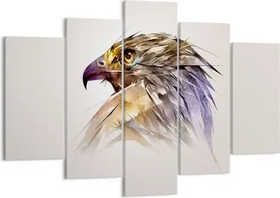 Produktbild von Bild auf Leinwand - Leinwandbild - Adler Vogel Feder - 150x100cm - Wand Bild - Wanddeko - Leinwanddruck - Bilder - Kunstdruck - Wanddekoration - Leinwand bilder - Wandkunst - EA150x100-3936