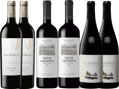 Image de Pack Milla De Oro Ribera Del Duero Rotwein Spanien RIBERA DEL DUERO 450.00 cl 14.0 %