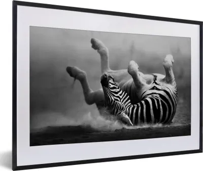 Produktbild von MuchoWow® Gerahmtes Poster Zebra - Tiere - Schwarz - Weiß 60x40 cm - Poster mit Schwarzem Bilderrahmen Wandposter Rahmen Foto Bilder - Schlafzimmer - Plakat in Rahmen - Drucken