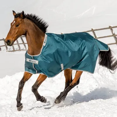 Produktbild von Bucas Outdoordecke 400g Atlantic Turnout Weidedecke Green 125