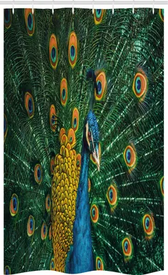 Zdjęcie produktu dla ABAKUHAUS Wendekreis Wąska zasłona prysznicowa, Portret pawia, zestaw dekoracyjny do łazienki z tkaniny z haczykami, 120 x 180 cm, pomarańczowo-zielono-niebieski