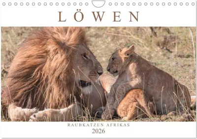 Produktbild von Löwen - Raubkatzen Afrikas (Wandkalender 2026 DIN A4 quer), CALVENDO Monatskalender