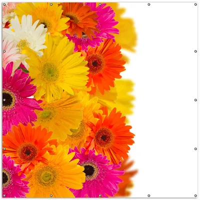 Produktbild von Wallario XXL Outdoor-Poster für Garten oder Balkon, Motiv Bunte Gerberas - pinke, gelbe, rote und weiße Blüten, in ca. 200 x 200 cm