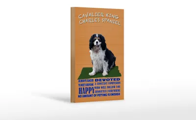 Produktbild von Holzschild Spruch 12x18cm Cavalier King Charles Spaniel orange