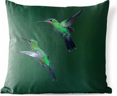 Produktbild von MuchoWow® Outdoor Kissen - Vögel - Kolibri - Grün - 45x45 cm - Wetterfest - Lounge Kissen - Fotokissen - Dekoratives Kissen