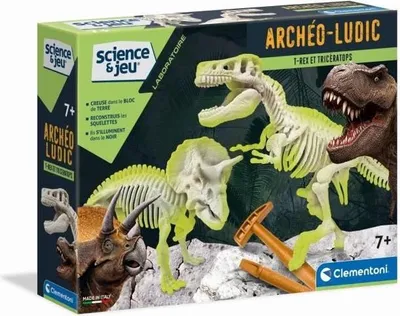 Image de Kit de Fouilles Archéologiques T-Rex et Tricératops Clementoni Science & Jeu, Jeu Educatif, 8 ans et plus