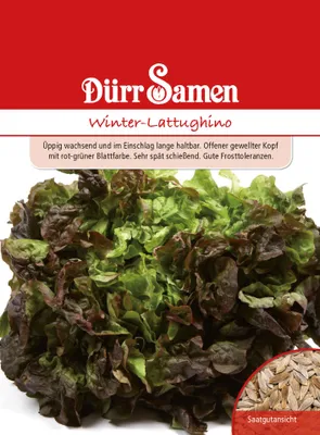 Produktbild von Winterlattughino | Winterlattughinosamen von Dürr Samen