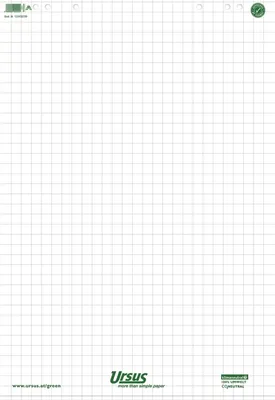 Immagine prodotto di Ursus 608580020 Blocco per lavagna a fogli mobili, 68x99cm, 20 fogli, a scacchiera