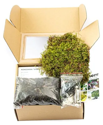 Obrázok produktu pre Gardners Kokedama "Vyrob si sám" (S)