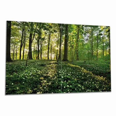 Produktbild von Wallario Herdabdeckplatte aus Glas, Größe 80 x 52 cm 2-teilig, Motiv Waldanemonen und Sonnenstrahlen im Wald