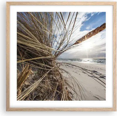 Produktbild von Gerahmtes Poster - Rahmen in heller Eiche - Küste Perspektive Gras - 50x50 cm - Wand Bild - Wanddeko - Wandbilder - Kunstposter - Wandposter - Bilderrahmen - Bilder - Kunstdruck - P2NAC50x50-4526