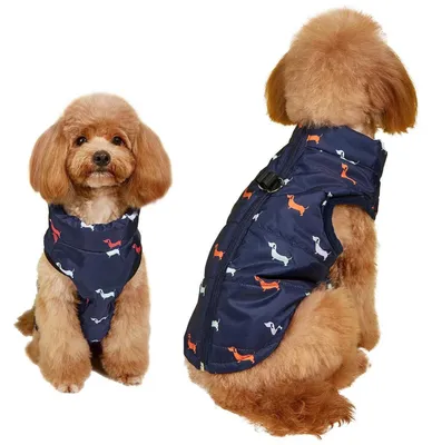 Produktbild von Hundemantel Winterjacke warm winddicht mit Geschirrloch schwach wasserdicht Chihuahua Dackel Blau XXS