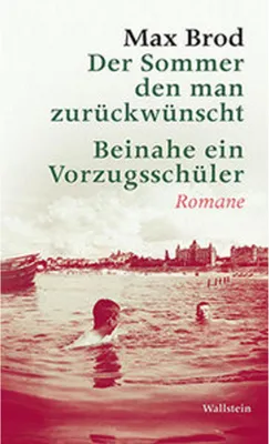 Produktbild von Der Sommer, den man zurückwünscht / Beinahe ein Vorzugsschüler