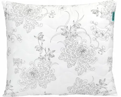 Produktbild von Wendre Allergikerfreundliche Daunenkissen 70x80 cm