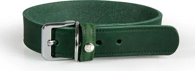 Produktbild von Das Lederband Hundehalsband Weinheim Hunting Green, Länge: 37 cm