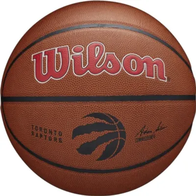 Obrázok produktu pre Wilson Lopty Team Alliance Toronto Raptors, WTB3100XBTOR