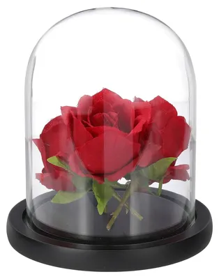 Image de Présentoir en verre sur socle en bois - 14 cm