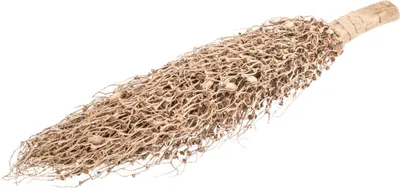 Produktbild von Tocha olympica, Größe ca. 40-60cm | Palmen-Fackel