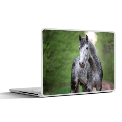Produktbild von MuchoWow® Laptop Aufkleber Sticker Cover Pferd - Wald - Porträt 36.5x27.5 cm - Laptop-Sticker