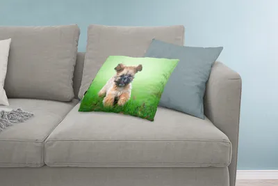 Produktbild von MuchoWow® Zierkissen Sofakissen Wohnzimmer Dekokissen 60x40 cm Ein niedlicher Shih Tzu Hund, der durch das Gras läuft - Kopfkissen - Polster mit Foto