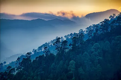 Produktbild von Muralo Fototapete Gebirge 254 (B) x 184 (H) cm Vlies Tapete Wandtapeten Berge Wald Ausblick Wohnzimmer Schlafzimmer moderne Wandbilder XXL Natur Landschaft Panorama Wand Dekoration