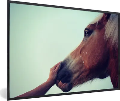 Produktbild von MuchoWow® Gerahmtes Poster Haflinger Pferd 90x60 cm - Poster mit Schwarzem Bilderrahmen Wandposter Rahmen Foto Bilder - Fotorahmen - Foto-Plakat