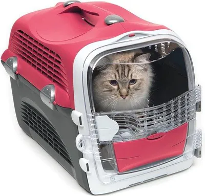 Produktbild von Famanu Transportbox für Katzen - Multifunktionale Tierbox 51x33x35 cm