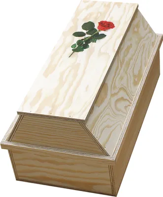 Produktbild von Elmato 10172 Tiersarg Sarg Beerdigung Bestattung Holz, Katzen Hunde Nager 60x30x28cm
