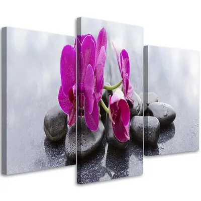 Produktbild von Triptychon auf leinwand orchidee und schwarze steine 60x40 cm Feeby rosa wandbild bereit zum aufhängen