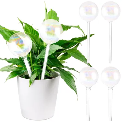 Image de Omgoods - Lot de 6 boules d'arrosage en verre pour plantes