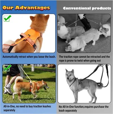 Produktbild von DTC GmbH, Hundegeschirr M, H-förmig, Verstellbar, Anti-Twist-Design, Reflektierend, Reißfest, Stoßdämpfend, 80% Polyester, 18% Nylon, 2% Elasthan