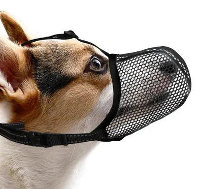 Produktbild von Weicher Maulkorb für kleine Hunde