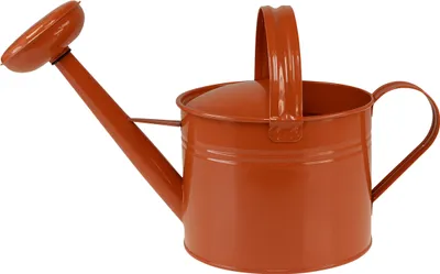Produktbild von Deko Gießkanne Metall im Landhausstil als Pflanzgefäß und Dekoration