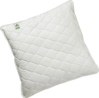 Produktbild von Kissen Irisette Greenline Zirbe/Schurwolle ECO Größe 80 x 80 cm
