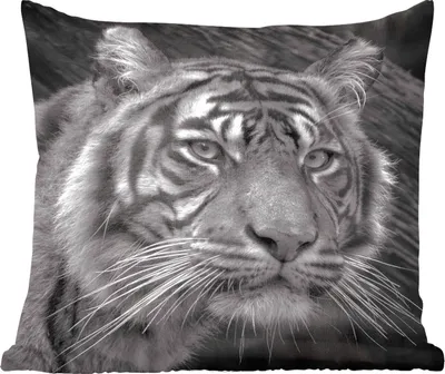 Produktbild von MuchoWow® Zierkissen Sofakissen Wohnzimmer Dekokissen 60x60 cm Tiger - Wild - Schwarz - Weiß - Sitzfläche - Foto Polster