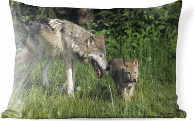 Produktbild von MuchoWow® Outdoor Kissen - Wolf - Baby - Gras - 60x40 cm - Wetterfest - Lounge Kissen - Zierkissen - Kissen für Innenräume