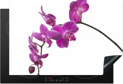 Produktbild von KitchenYeah© Herdabdeckplatte Orchidee vor weißem Hintergrund , 76x51cm, Küche Deko, Glaskeramikkochfeld Herdabdeckung, Abdeckplatte fùr Kochfeld