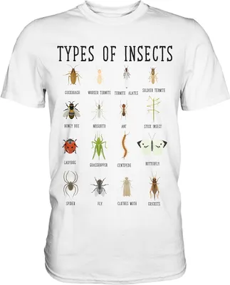 Produktbild von Entomologie Käfersammler Insektenarten T-Shirt – White / XXL