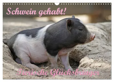 Produktbild von Schwein gehabt! (Wandkalender 2027 DIN A3 quer), CALVENDO Monatskalender