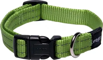 Image de Collier Snake L (M)