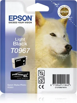 Produktbild von Epson Tintenpatrone C13T09674010 T0967 6.210Seiten fotoschwarz